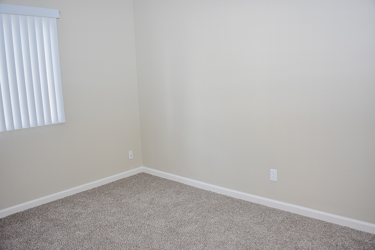 1 bedroom in reno